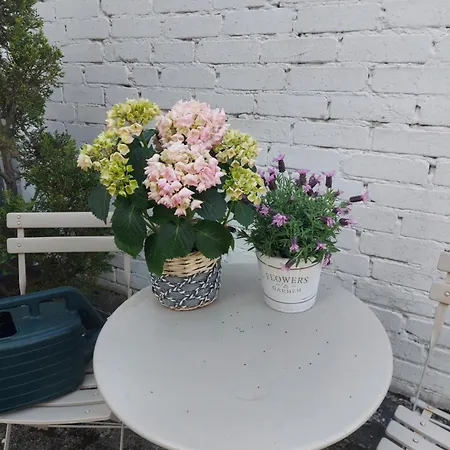 Vakantiehuis Schoenes Haus Mit Grossem Garten *