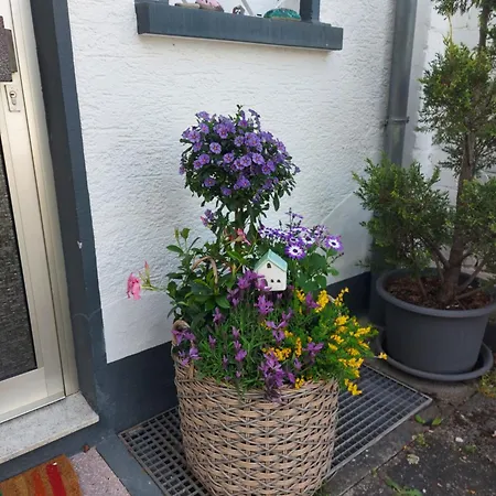 Prázdninový dům Schoenes Haus Mit Grossem Garten *