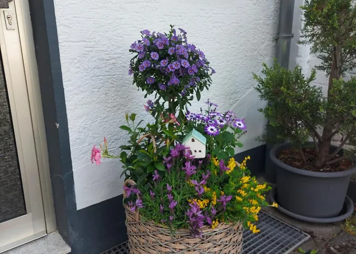 Σπίτι διακοπών Ferienhaus 